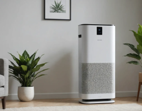 Why Air Purifiers Are So Popular in Modern Homes